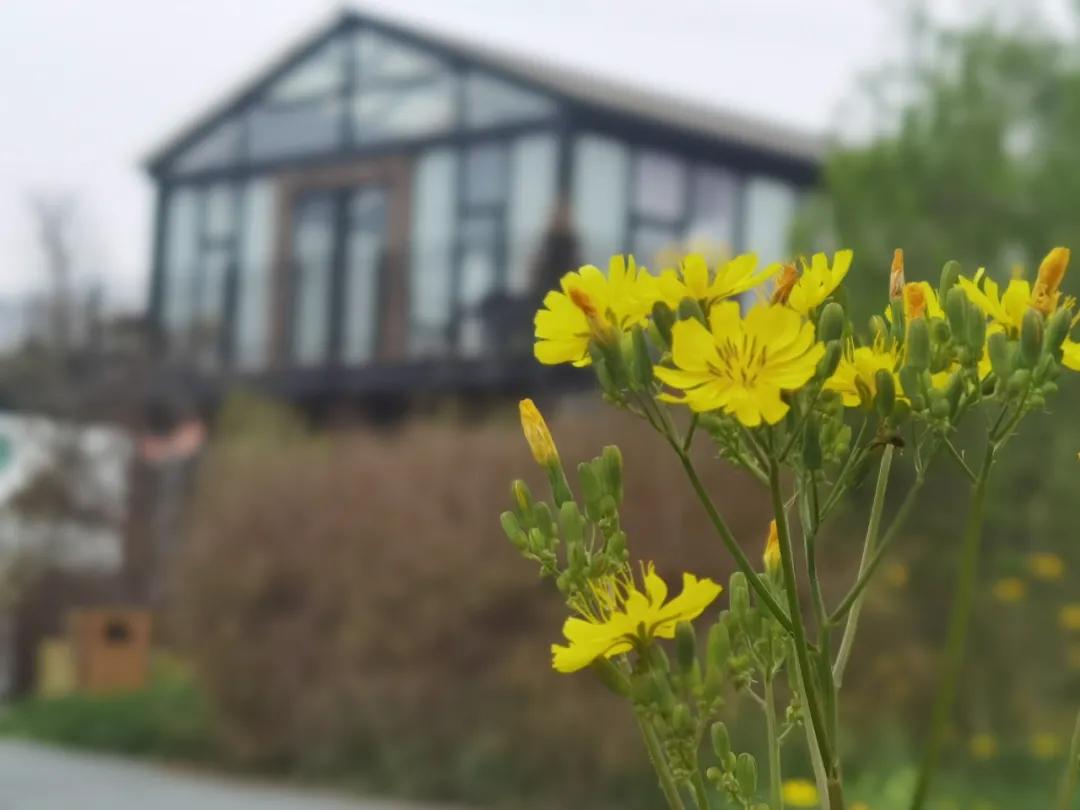 下岗民办教师最新动态，重逢的温馨故事