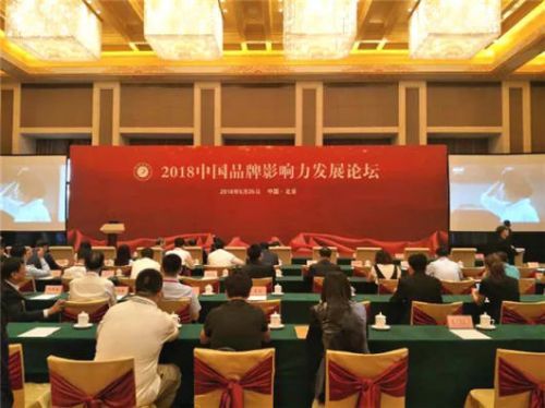 凤凰卫视石评大财经最新动态及其背景与影响力探讨