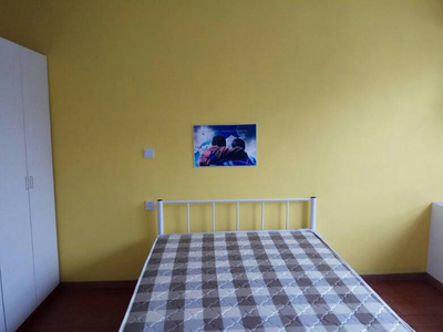 南和租房子最新动态,温馨小窝新篇章开启