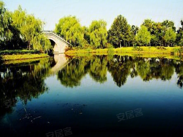 济宁太白湖新区最新动态，湖畔小趣事揭秘新区发展脉络