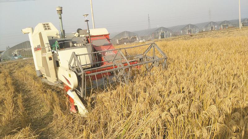 科技重塑农业,最新自走式花生摘果机让生活因你而不同