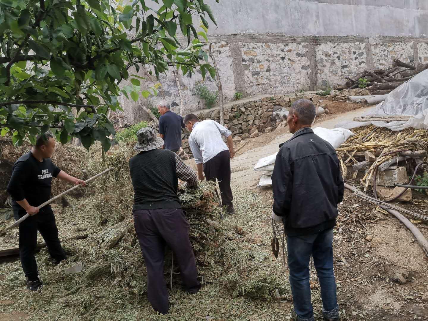山东平邑房价最新动态，新篇章开启，家的温馨与友情共融