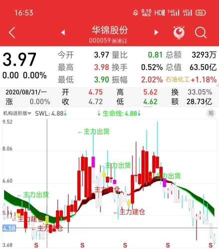 华锦股份重组最新动态，时代变革与行业重塑