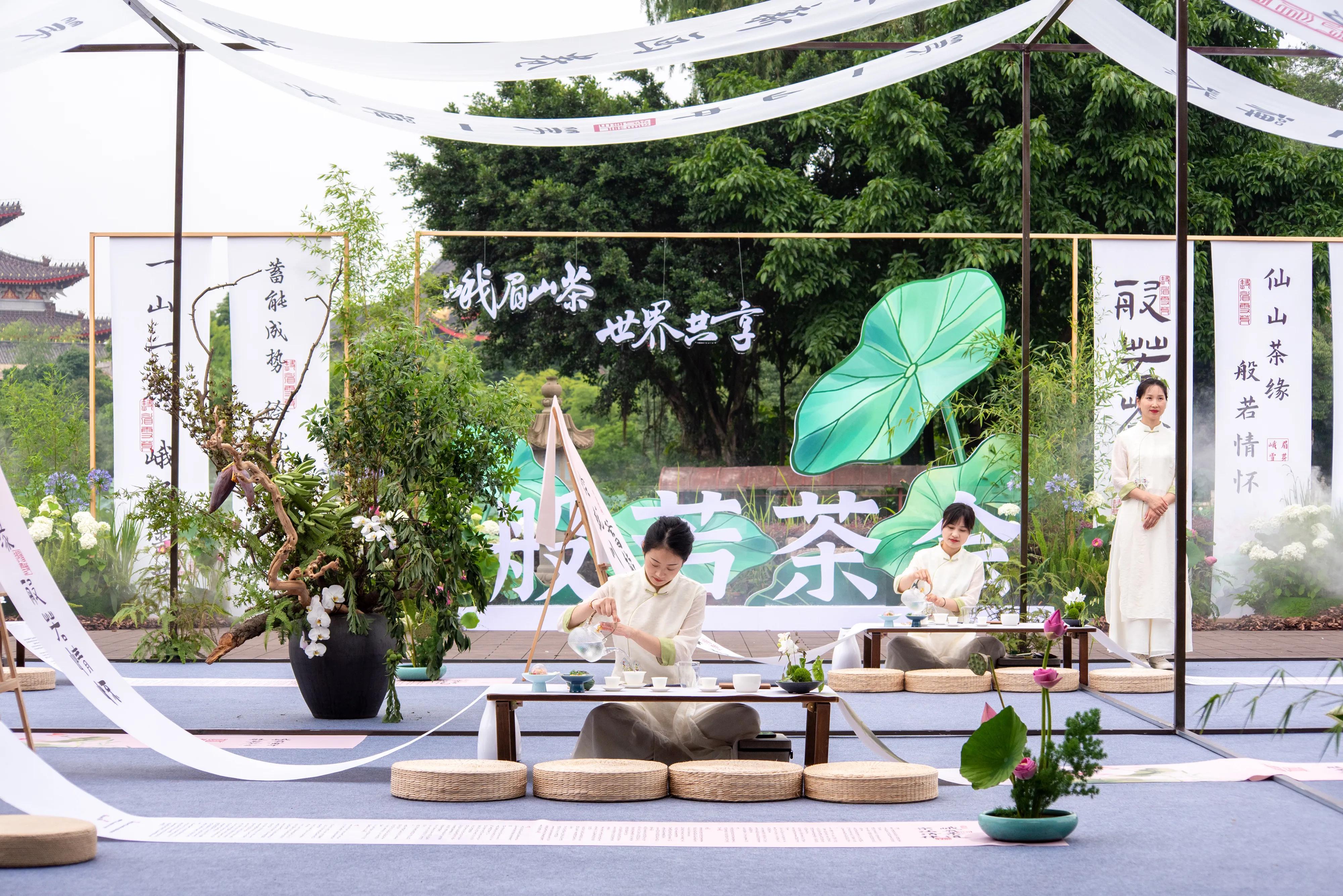 峨眉山市干部最新公示，科技引领未来，共创智慧新篇章