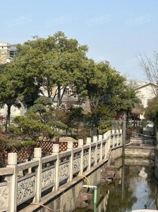 常熟支塘二手房市场深度解析,最新动态与市场概览