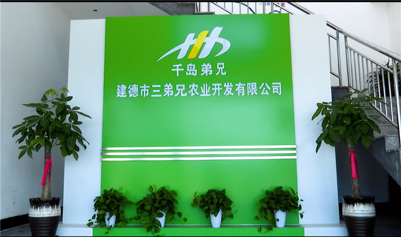 建德市招聘网最新招工信息及动态速递