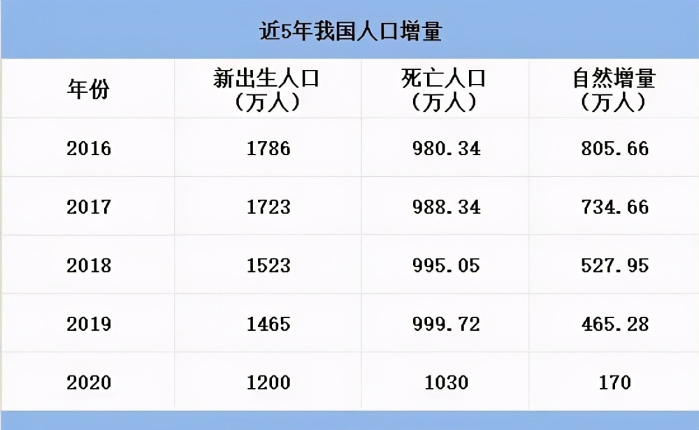 温州市网约车最新动态，一种观点分析及其影响