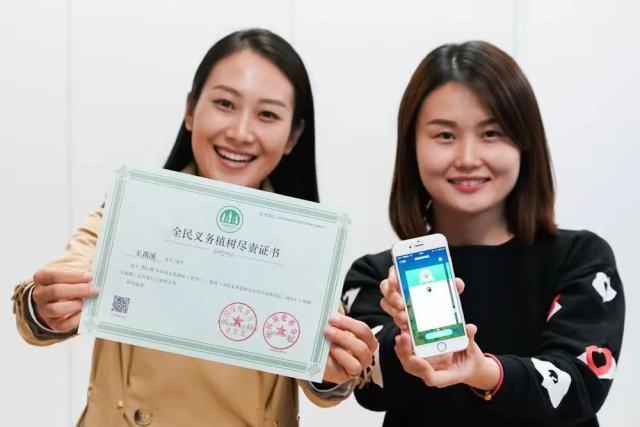 最新版本深度解析与体验分享