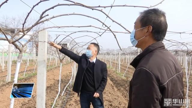 全民赢三张下载最新版本的深度解析与体验分享