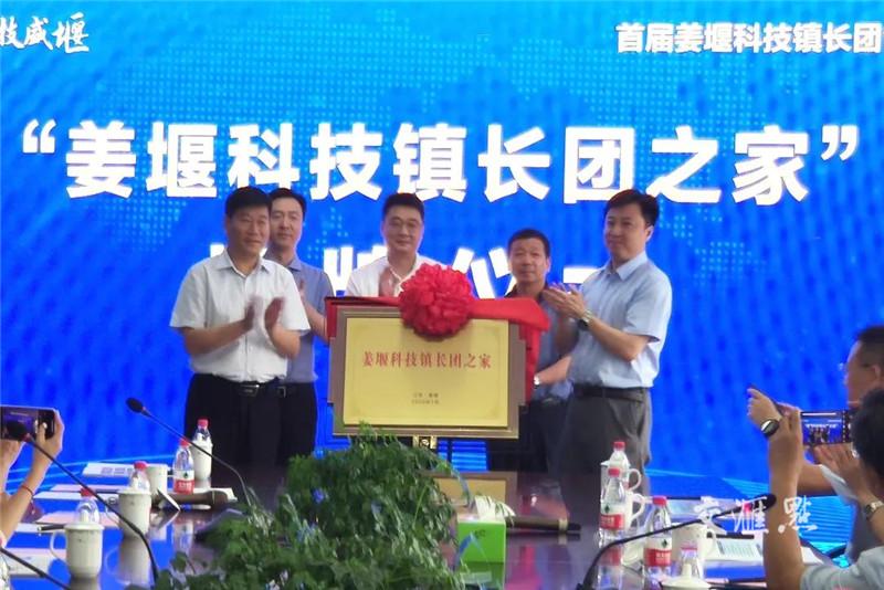 科技、社会与生活的交汇点，最新动态解析甲领域发展。