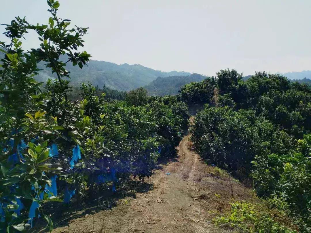 上海禾辉信息 第404页