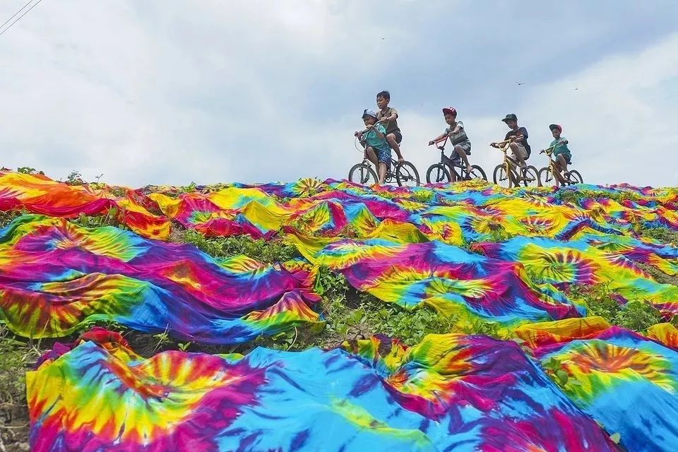 探索最新色彩的魅力之旅