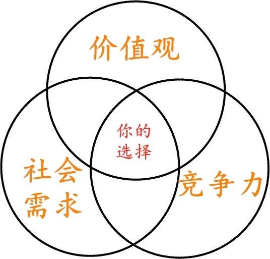 最新加入，深度探讨其价值与影响