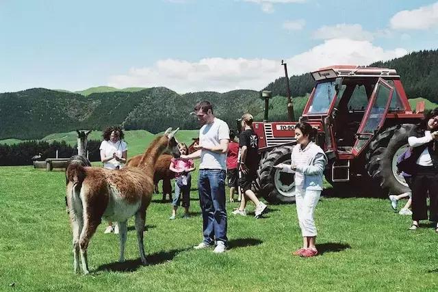 贵阳最新动态，自然美景探索之旅的心灵宁静之旅