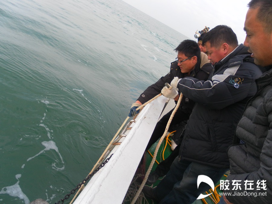 乘风破浪，最新波引领学习自信之源