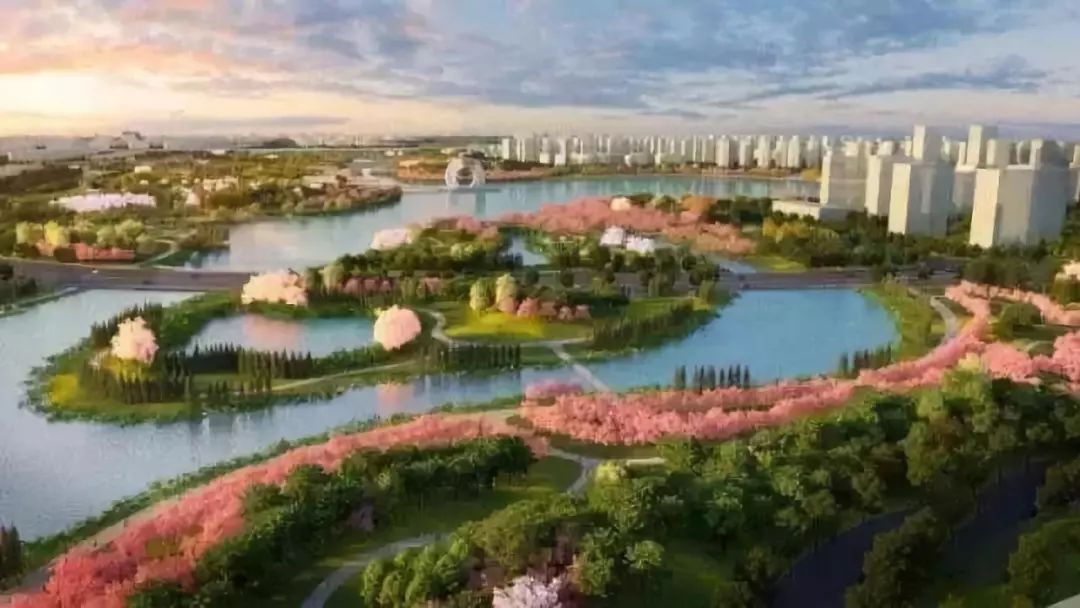 郑州最新动态,自然美景探索之旅,寻觅内心平和与宁静