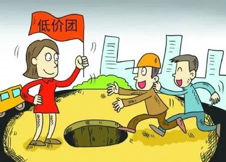 自然美景与平静绿洲（或心灵之旅与自然美景探索）