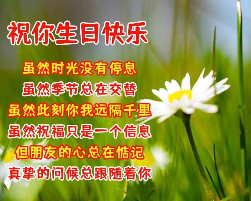 今日热点新闻与温馨日常的欢乐时光