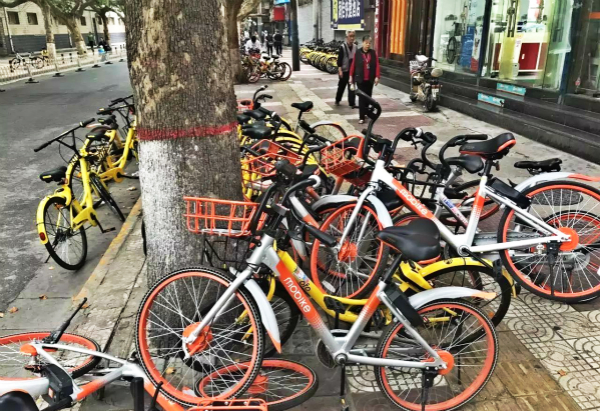 最新自行车，日常故事与骑行之旅