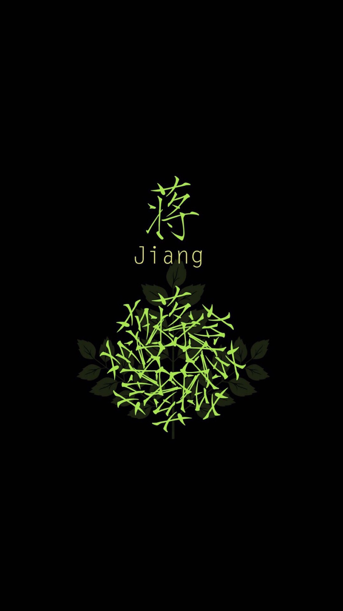 蒋最新,名字背后的故事与启示探寻之路