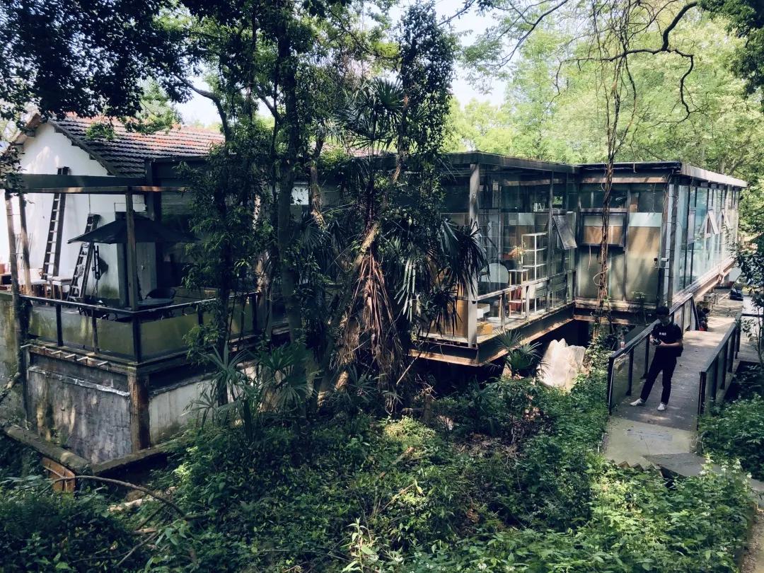 小巷深处的独特风味,最新隐藏小店探索指南