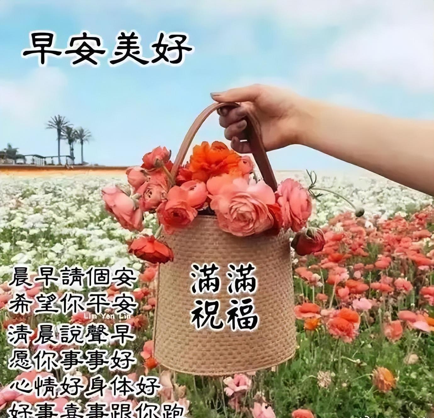 最新广告视频，友情的温馨瞬间，触动心灵的一刻