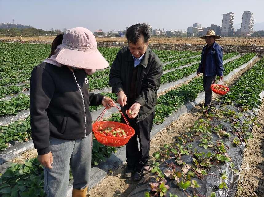普宁最新日常，友情、家庭与爱的温馨纽带报道