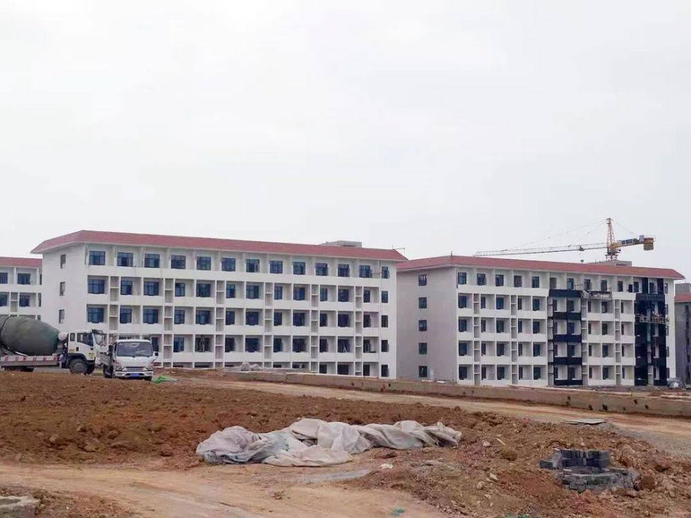 最新专辑,音乐发展的见证与推动力之韵