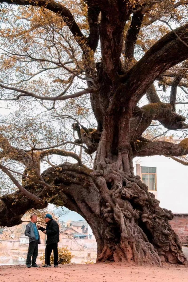 最新微信群带你领略无限精彩的世界！