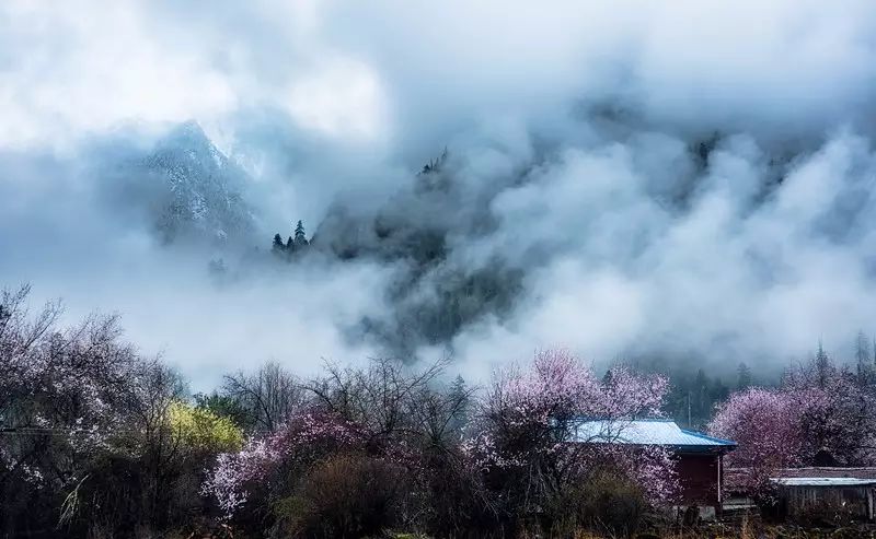 网络时代下的自然美景探索之旅,追寻内心的平和与喜悦