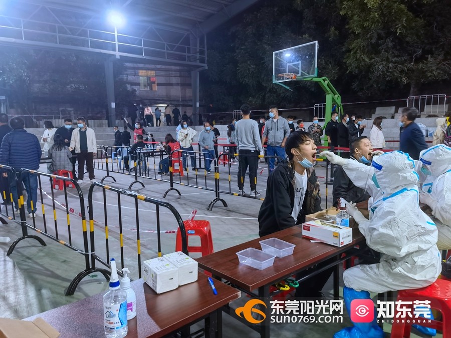 东莞最新疫情观察报告，最新动态与分析