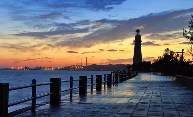 日照最新动态,阳光下的温馨日常