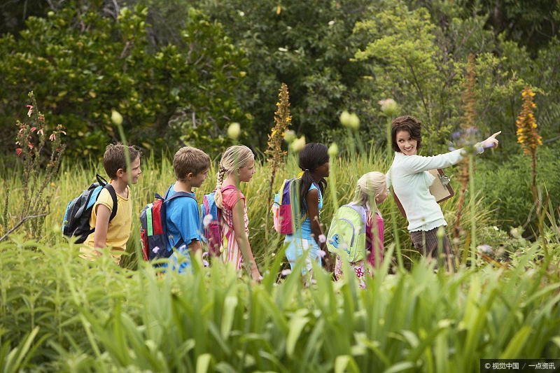磁力最新,与自然美景的亲密之旅,探寻内心平和的旅程