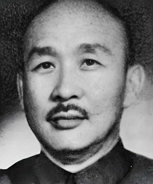 最新号一览众观点,深度探讨与解析