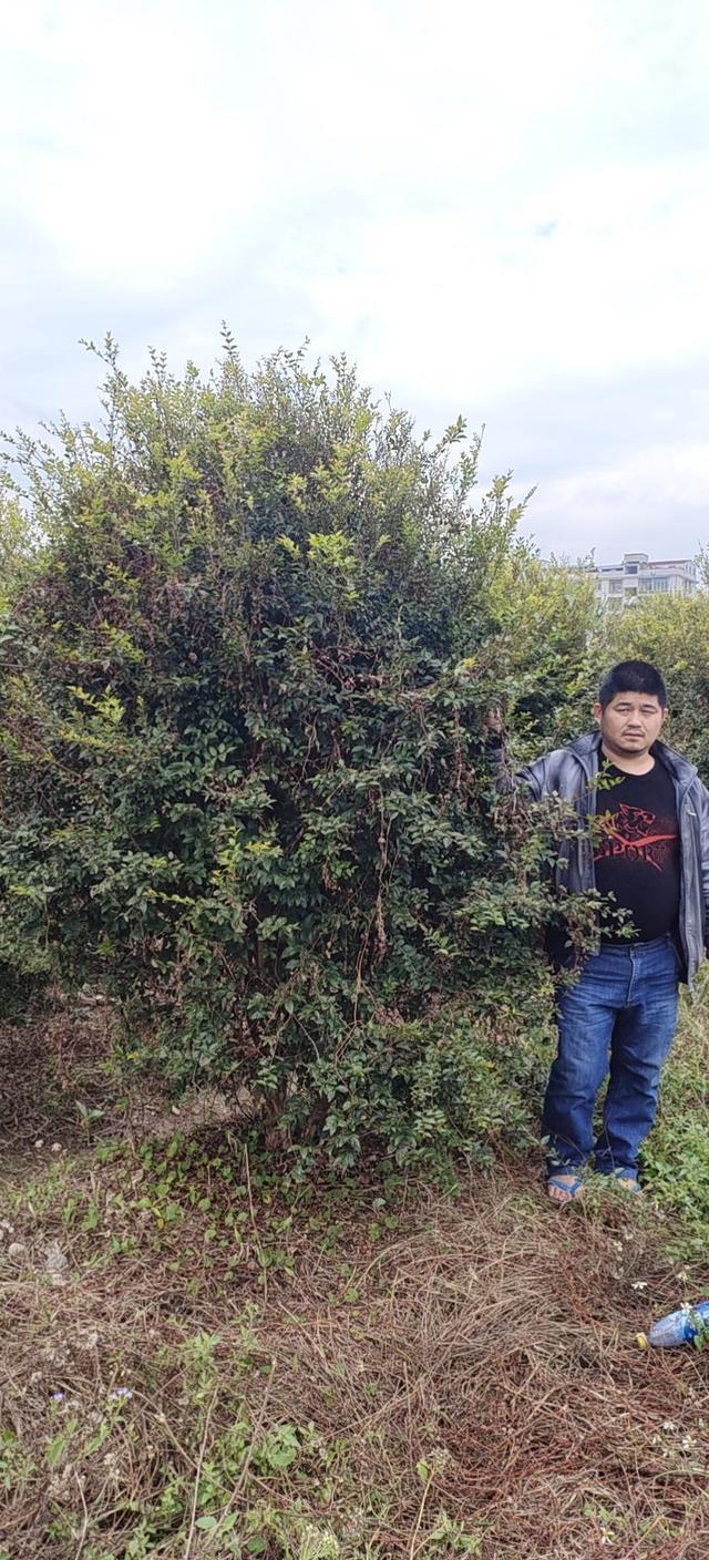 最新QQ头像探索自然美景,寻找内心平和之旅