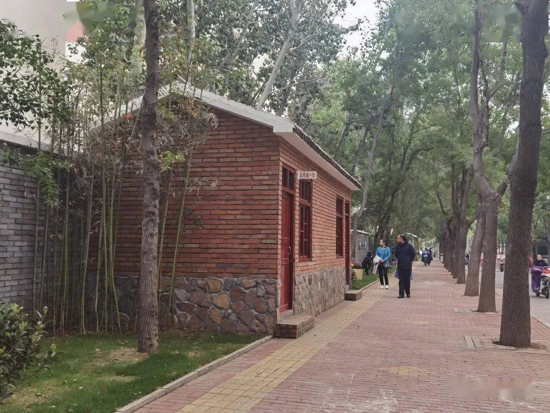 鹤壁最新动态,小巷深处的独特风味探秘