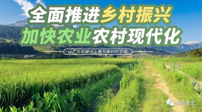 农业最新动态更新，最新农业资讯报道