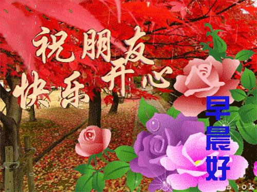 最新小说下载，友情与陪伴的温馨故事之旅