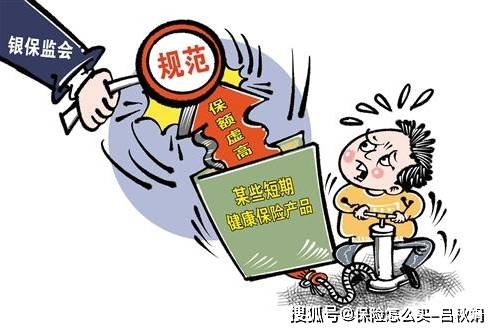 最新保险政策，守护爱与陪伴的使者