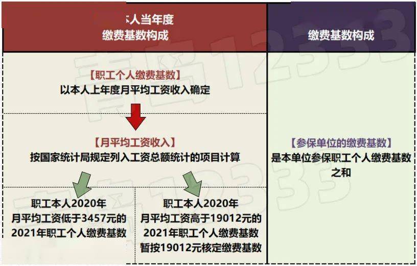 社保最新基数详解，一步指南带你了解操作流程与步骤