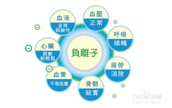 最新环保标准，塑造可持续未来的核心驱动力