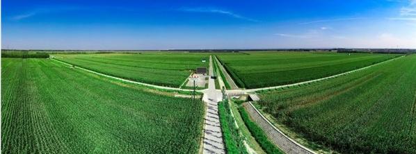 最新农业信息,推动农业现代化,引领绿色发展先锋资讯