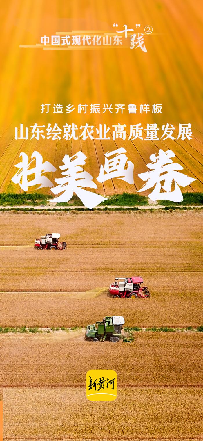 最新农业信息,推动农业现代化,引领绿色发展先锋资讯