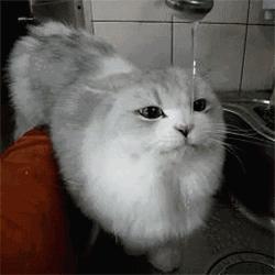 最新行业,探索自信与成就感的源泉,变化中的学习之旅