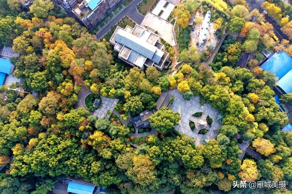 江华最新动态更新