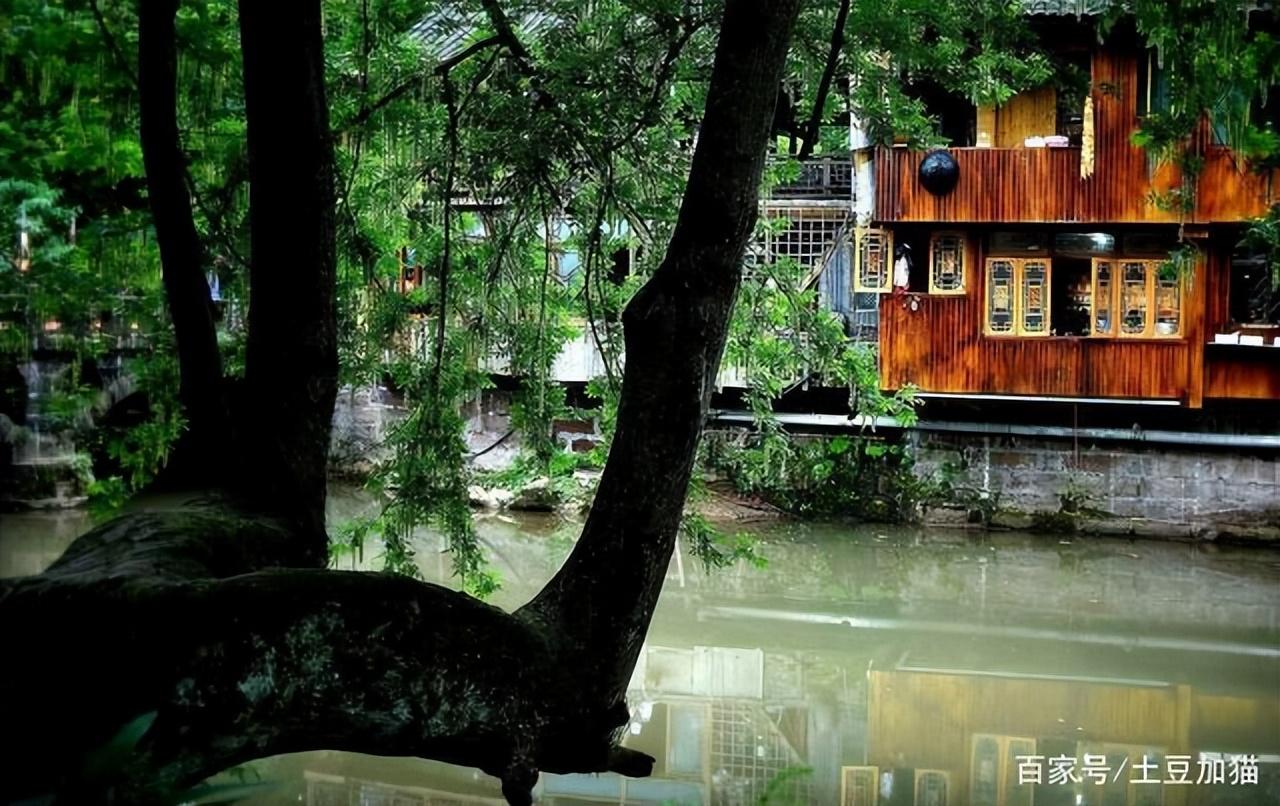 薛之谦最新,小巷深处的音乐与味蕾的双重盛宴