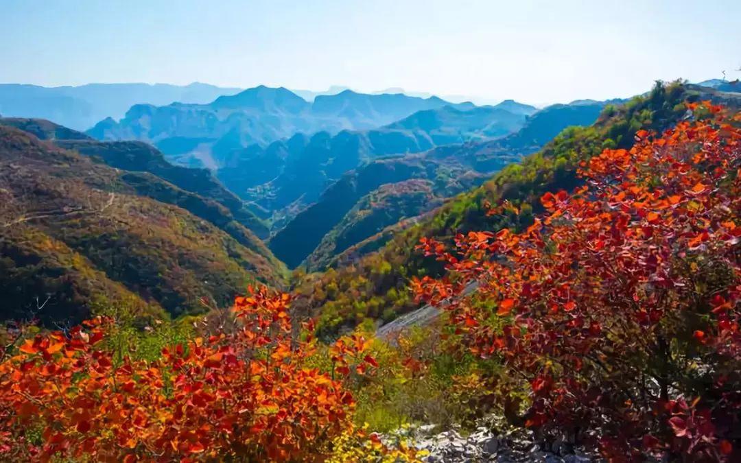 安阳最新招聘,探索自然美景,寻找宁静乐园之路