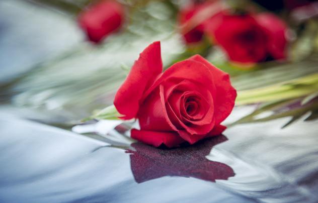 最新早安语,小巷中的神秘宝藏探寻之旅