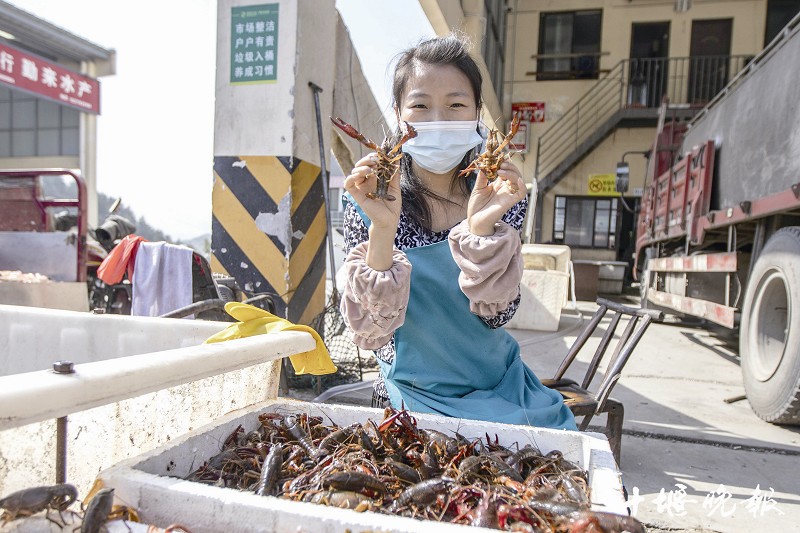 小龙虾最新价格动态,市场走势、影响因素与未来预测分析
