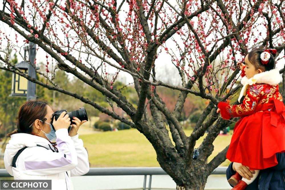 最新朱砂,背景、事件与地位的深度解读